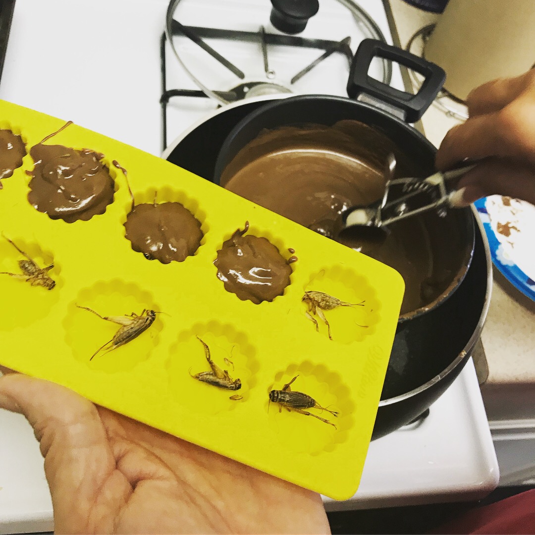 Image of someone scooping chocolate out of a saucepan and spooning it over a tray of single crickets in candy mold