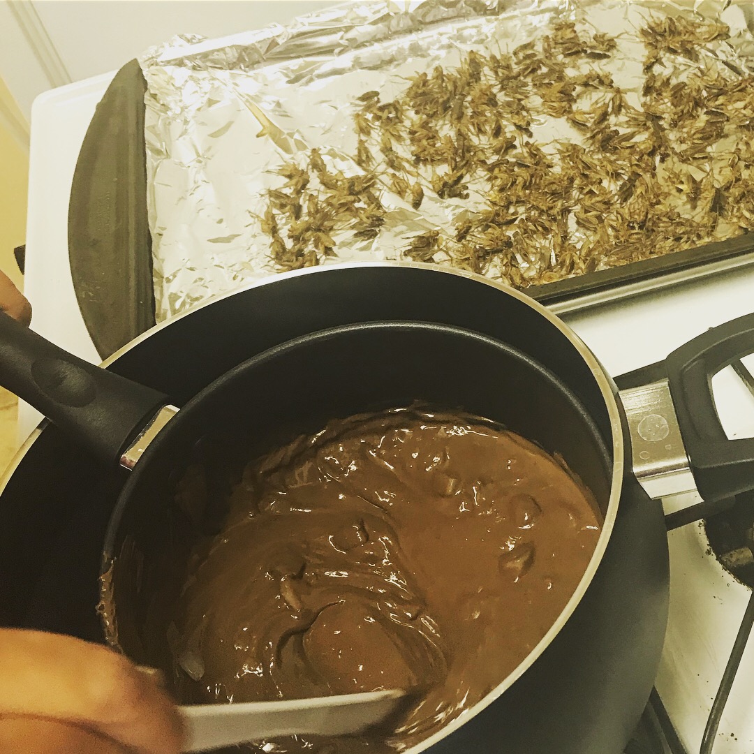 Image of Someone stirring chocolate in a saucepan next to an aluminum covered pan with roasted crickets covering the top